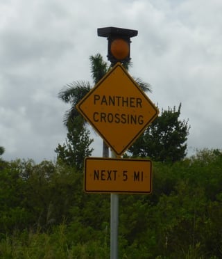 LED blank out signs its application LED blank out signs its application